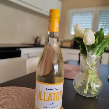 別荘 Apartman Fonyod Fonyód