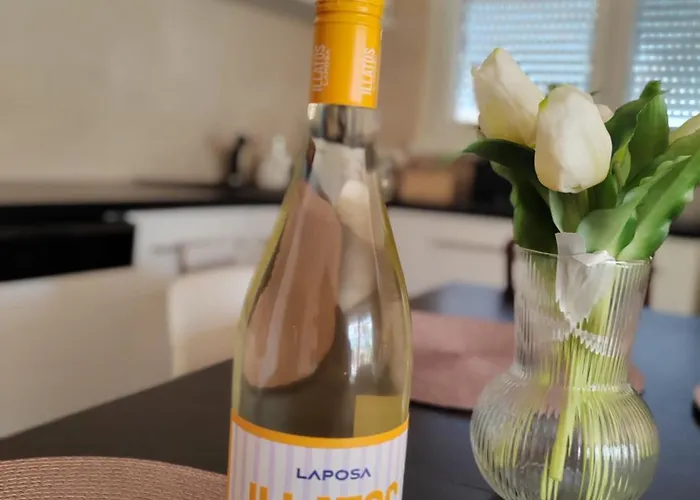 Dom wakacyjny Apartman Fonyod Fonyód