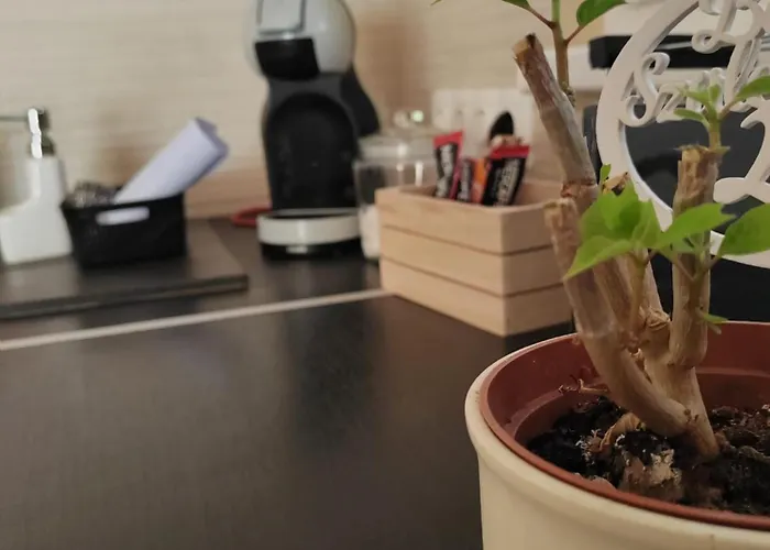 Apartman Fonyod * Fonyód